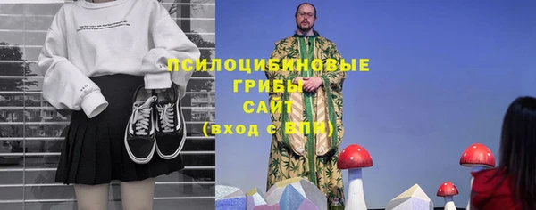 прущие крисы Кулебаки