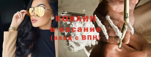 сатива Пестово