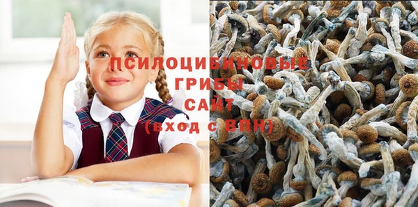 твердый Кукмор