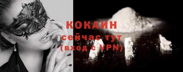 твердый Кукмор
