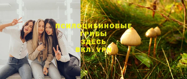 прущие крисы Кулебаки