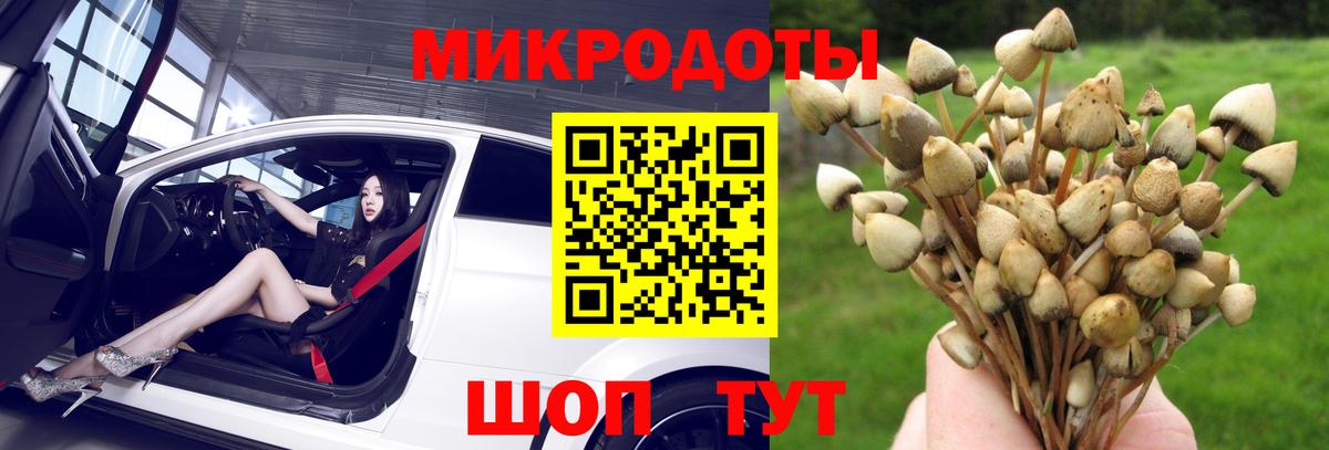 Галлюциногенные грибы ЛСД  Волгодонск  Галлюциногенные грибы прущие грибы 